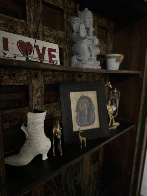 Flora'S Garden Apartment/Studio ノース・マイアミ エクステリア 写真