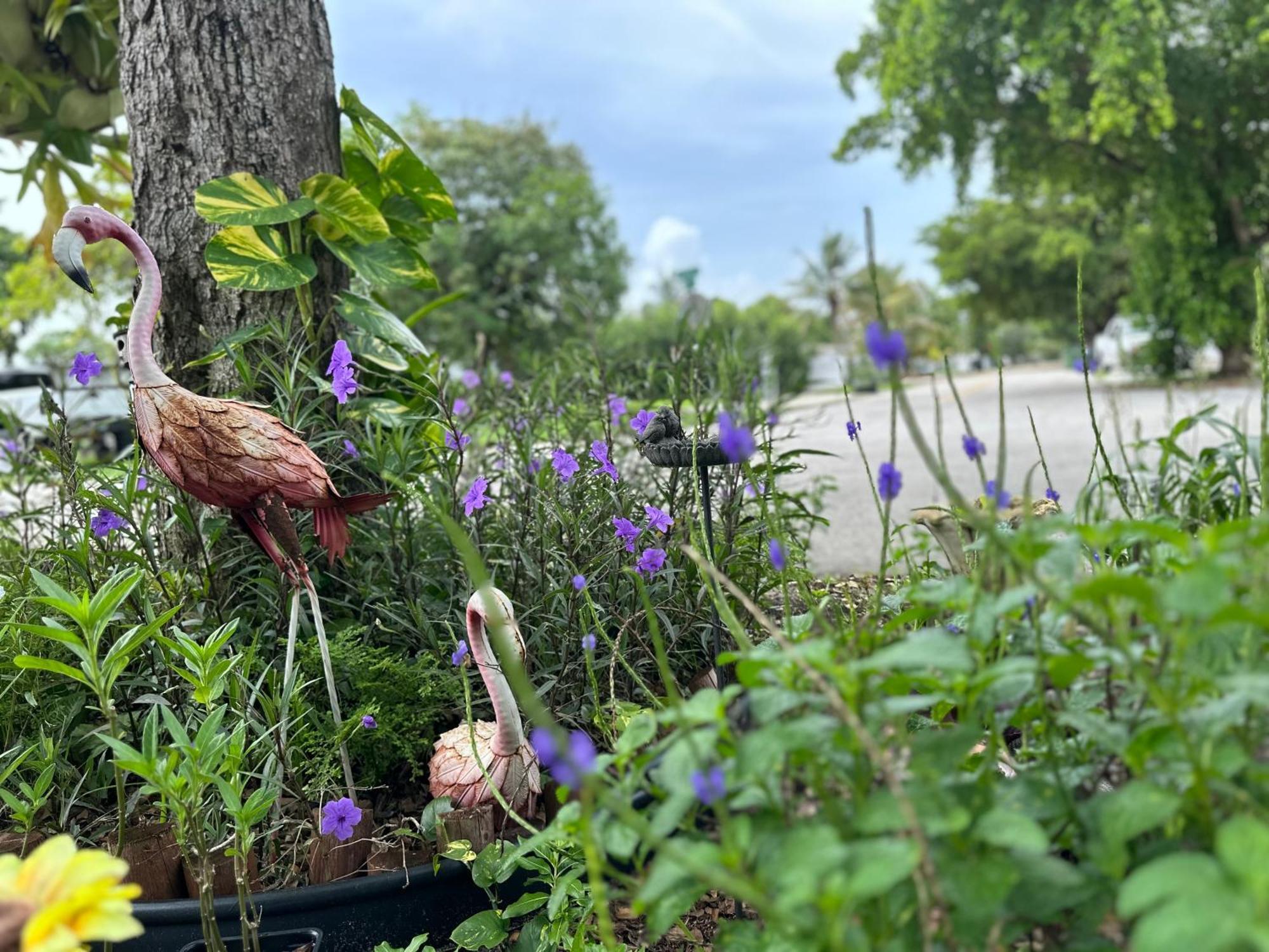 Flora'S Garden Apartment/Studio ノース・マイアミ エクステリア 写真
